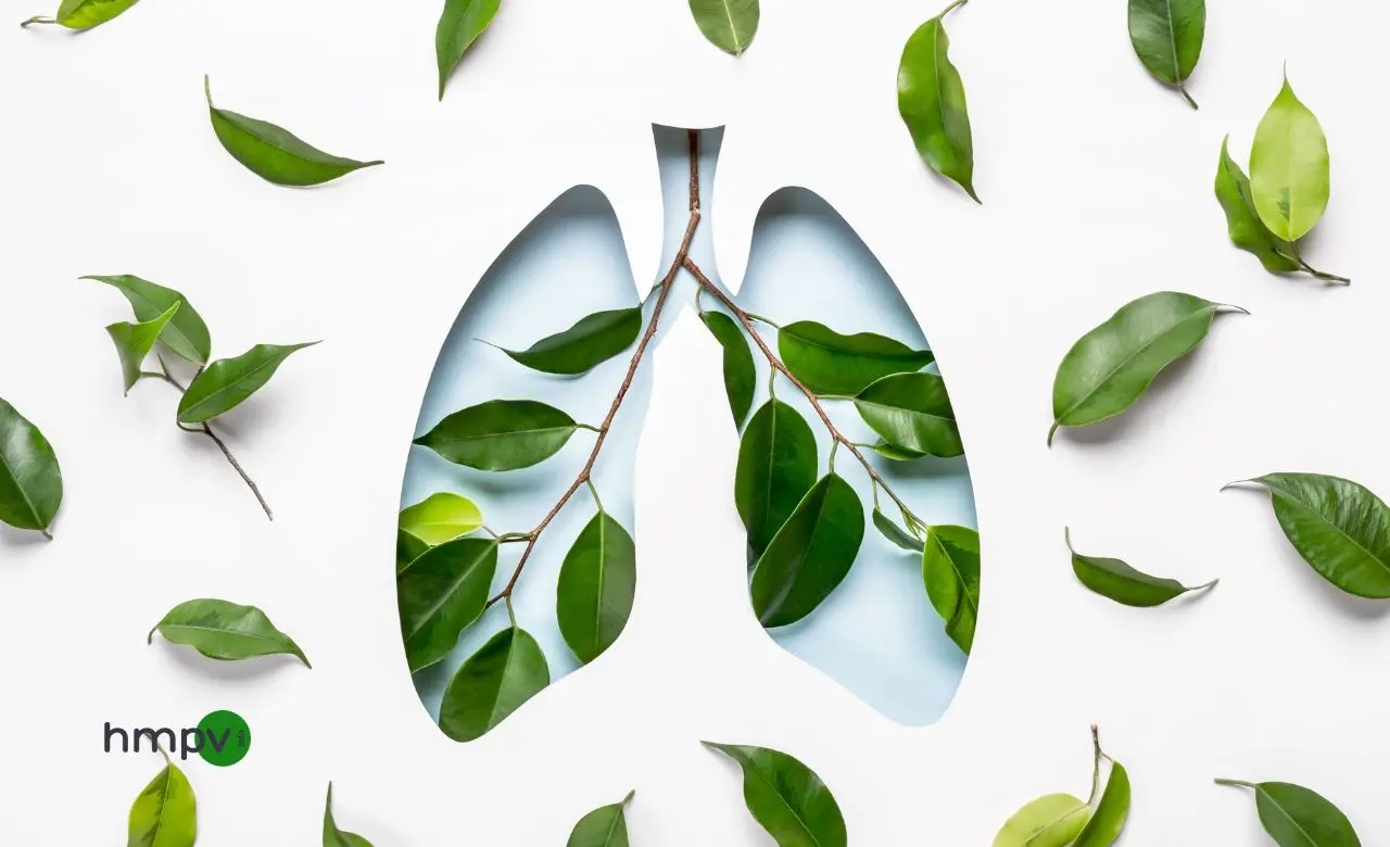 7 Herbs That Help Clean Lungs Naturally