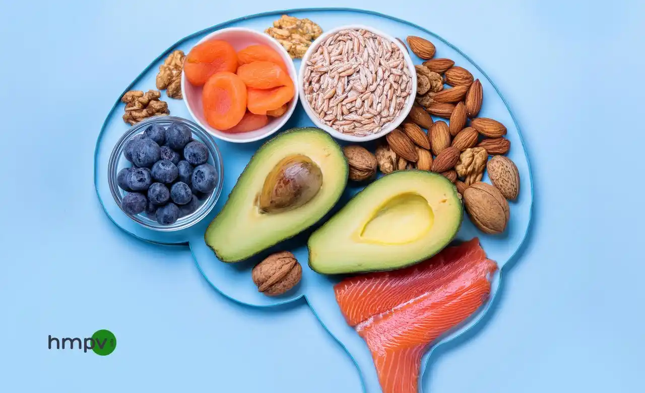 gut-brain-connection