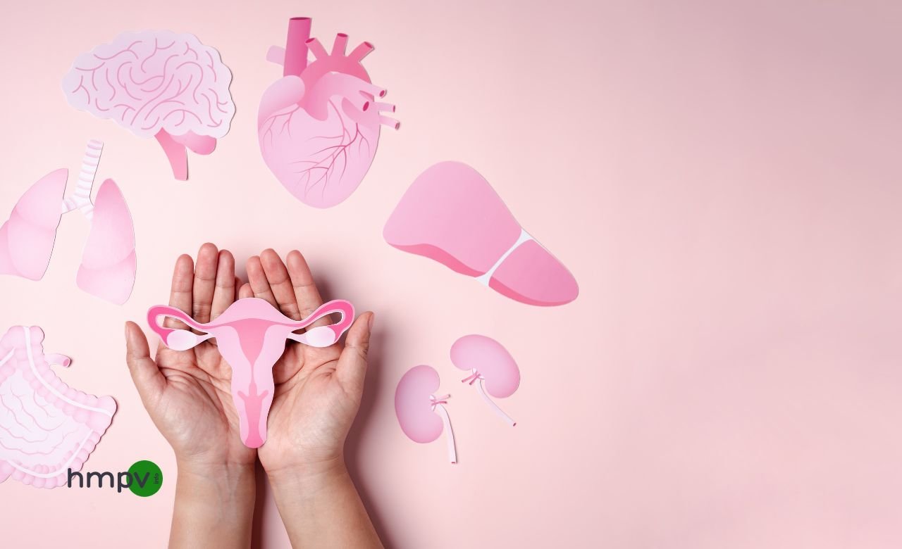 Understanding PCOS: Causes, Symptoms, and Treatment Options