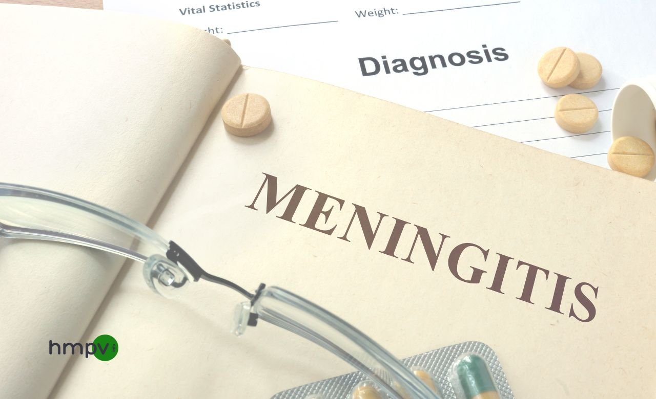 What is Meningitis